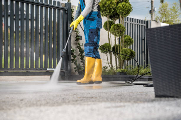 Best Local Pressure Washing Services  in Larkspur, CA
